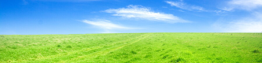 blue green